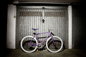 viola15